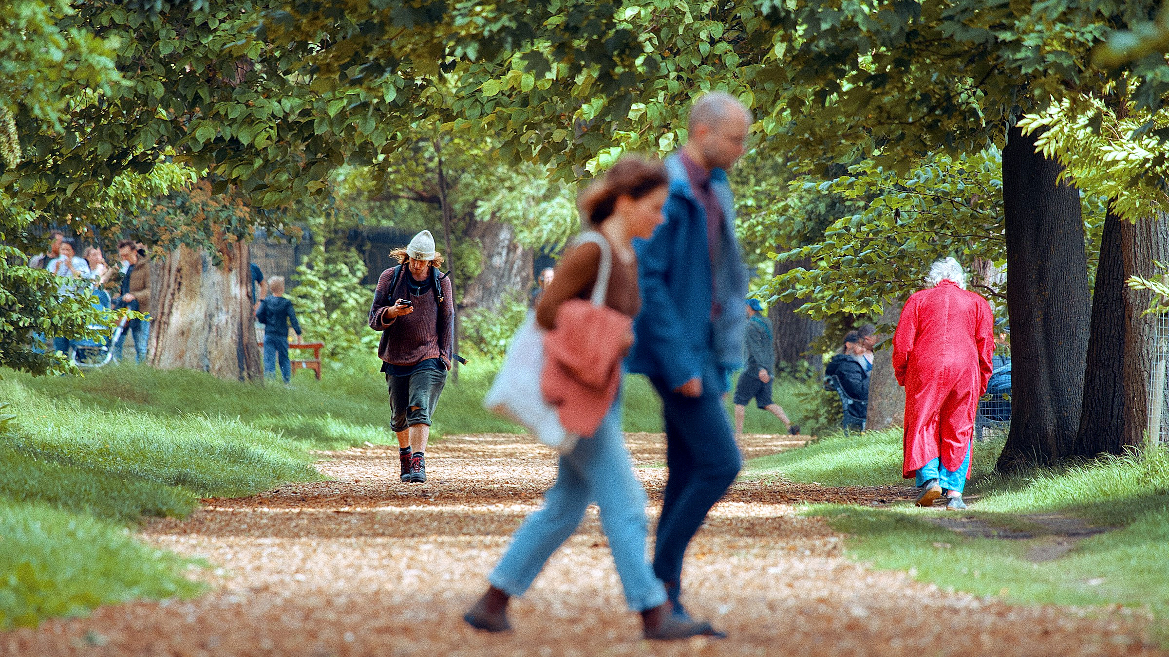 People out walking together on a tree lined park path